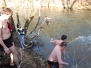 Belanské ľadové medvede 2012