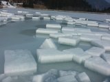 Belanské ľadové medvede 2015 - Hrabovo