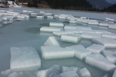 Belanské ľadové medvede 2015 - Hrabovo