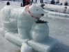 20150222_121757.jpg