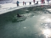 20150222_122549.jpg
