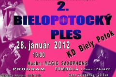 2. Bielopotocký ples 2012