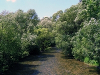 Rieka Revúca