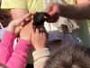 IMG-20210511-WA0005